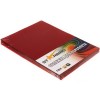 Обложки для переплета пластиковые StarBind А4, красные прозрачные, 200 мкм, 100 шт./уп