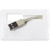 USB Flash Apexto кредитная карта 4GB [AP-U504A-4GB]