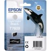 Картридж EPSON T7609 (C13T76094010) светло-серый