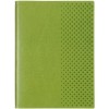 Ежедневник недатированный «Сариф», 130 x 170 мм, 160 листов, салатовый