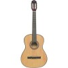 Акустическая гитара Terris TC-3901A NA